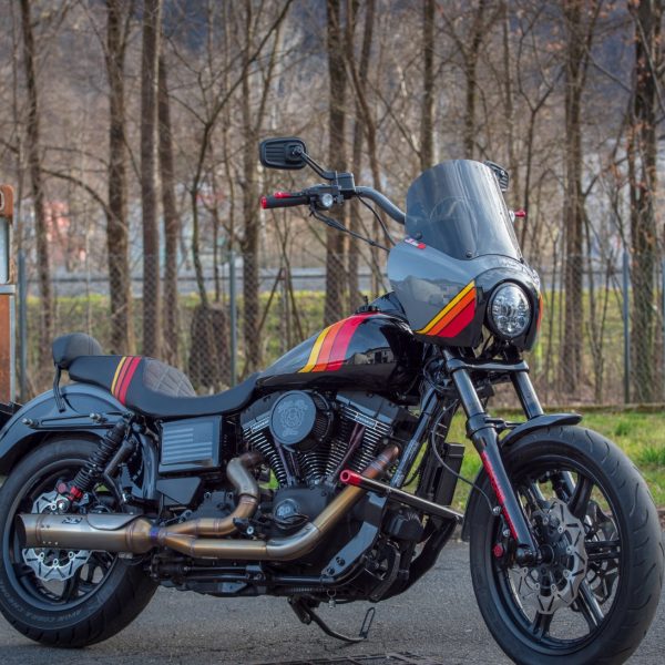 FXDB - Dyna Street Bob