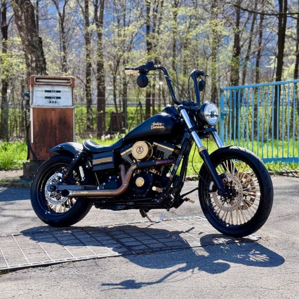 HARLEY-DAVIDSON 2011 FXDF