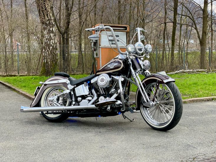 FLSTS H.S. – Heritage Springer