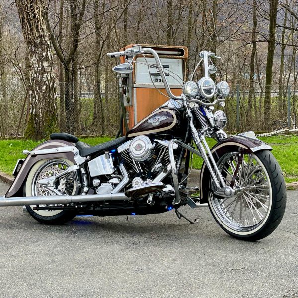 FLSTS H.S. – Heritage Springer